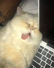 Beautiful Villa with sea view - image blurred placeholder