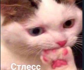 Apartments - image blurred placeholder