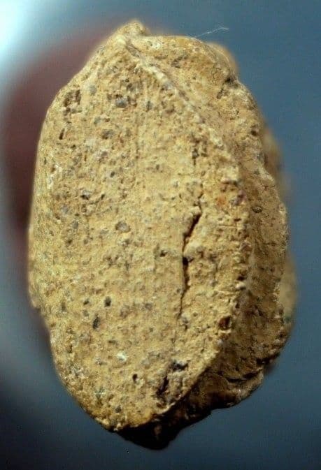 พระเลี่ยงลำพูน