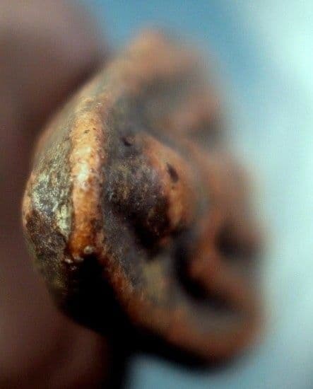 Phra Kamphaeng Phaet Lok