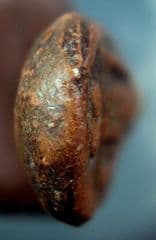 Phra Kamphaeng Phaet Lok - image blurred placeholder