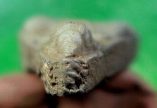 Phra Pong Suphan Stone Powder - image blurred placeholder