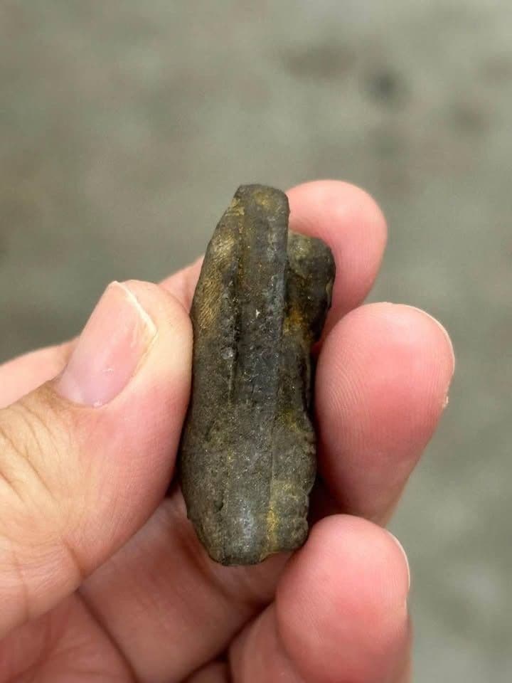 Luang Por Toh Wat Chang Hai