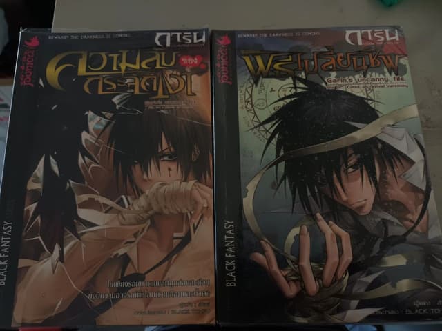 หนังสือนิยาย การิน ปริศนาคดีอาถรรพ์ 2 เล่ม