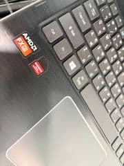 Acer asipre - image blurred placeholder