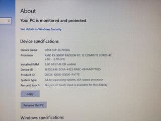 Acer asipre - image blurred placeholder