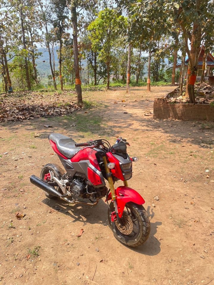 Msx125 sf ขายลดได้นิดหน่อย