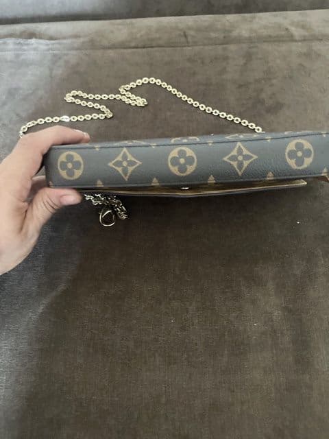 This bag is Louis Vuitton Pochette Félicie in Monogram Canvas