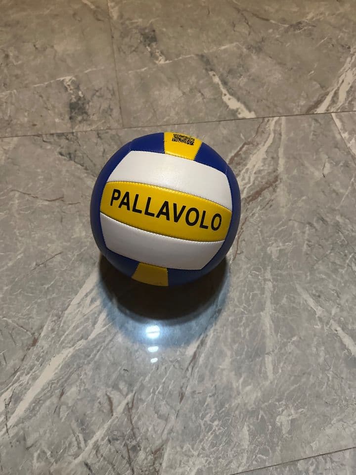 Pallavo ลูกวอลเลย์บอล
