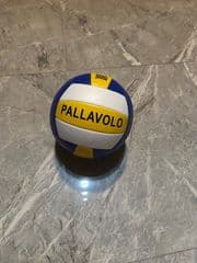 Pallavo ลูกวอลเลย์บอล - image blurred placeholder