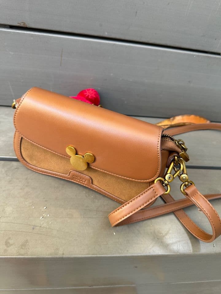 Mickey Bag