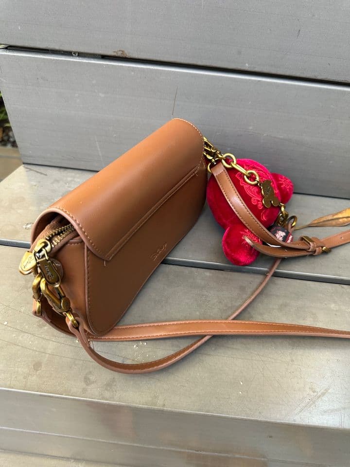 Mickey Bag