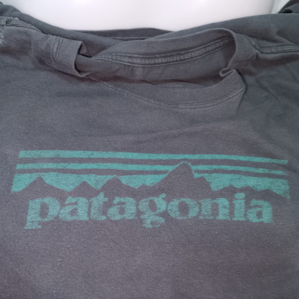 เสื้อยืด Patagonia