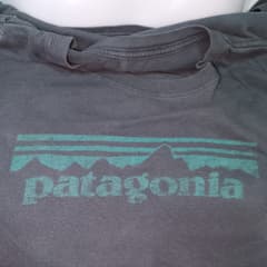 เสื้อยืด Patagonia - image blurred placeholder