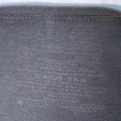 เสื้อยืด Patagonia - image blurred placeholder