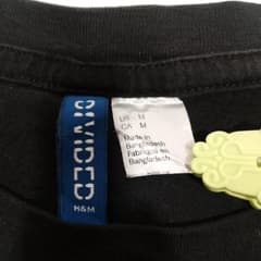 H&M ลายเสือ - image blurred placeholder