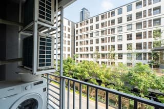 Thumbnail 11