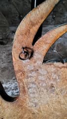 Wood Carving - image blurred placeholder