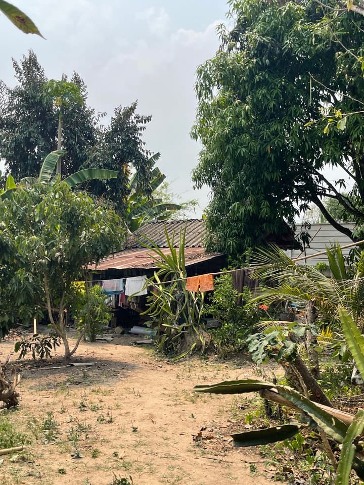 บ้านหลังเล็กๆ พร้อมที่ดิน 70 ตรว