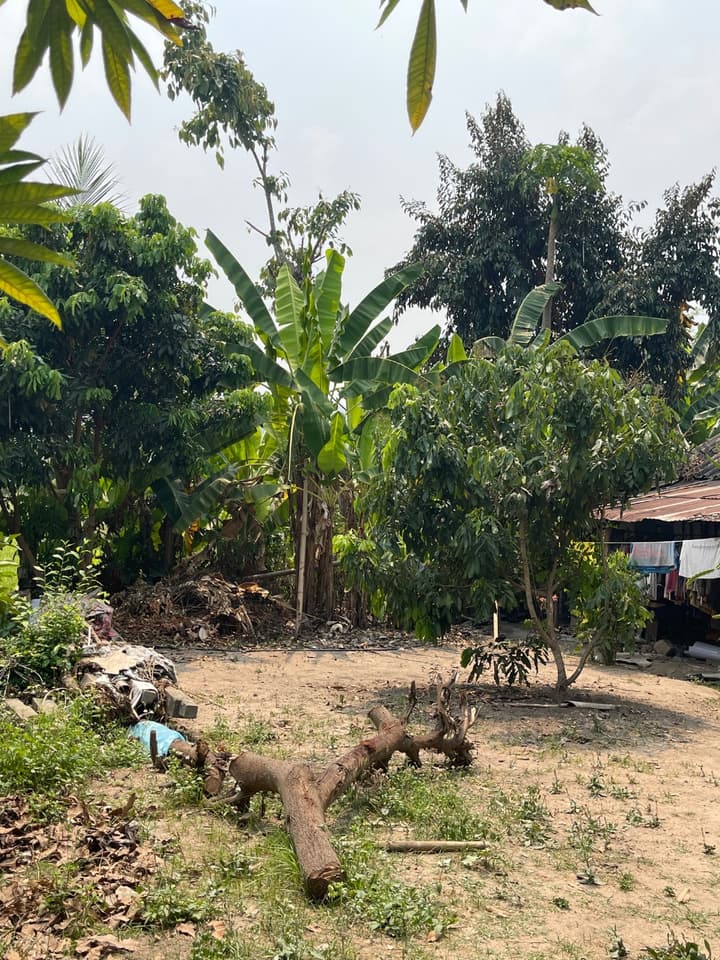 บ้านหลังเล็กๆ พร้อมที่ดิน 70 ตรว