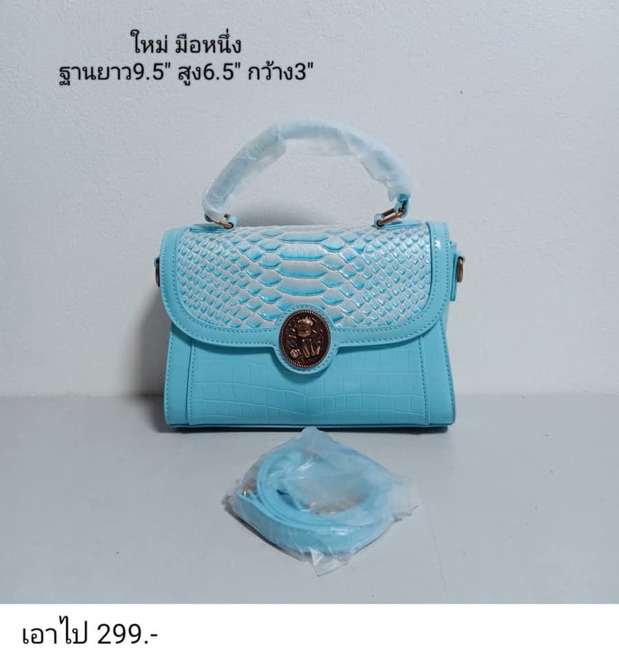 กระเป๋าถือ