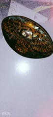Handmade belt buckle, eagle pattern, Harley Davidson theme, handcrafted - image blurred placeholder