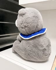ZO&FRIENDS ZOA Medium Plush G-DRAGON Authentic Doll, Good Condition, Ready to Ship - image blurred placeholder