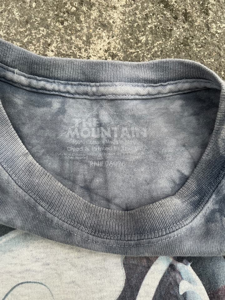 เสื้อยืด The Mountain