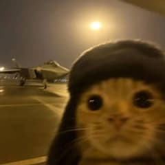 Romeo avatar