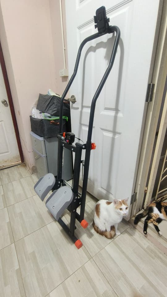 Mountain Climbing Exercise Machine