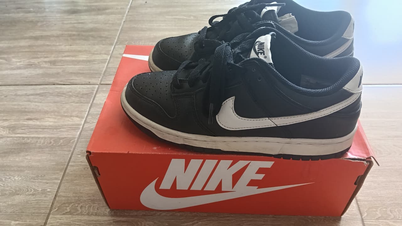 Nike Dunk Low GS Black Panda 2.0 Sneaker