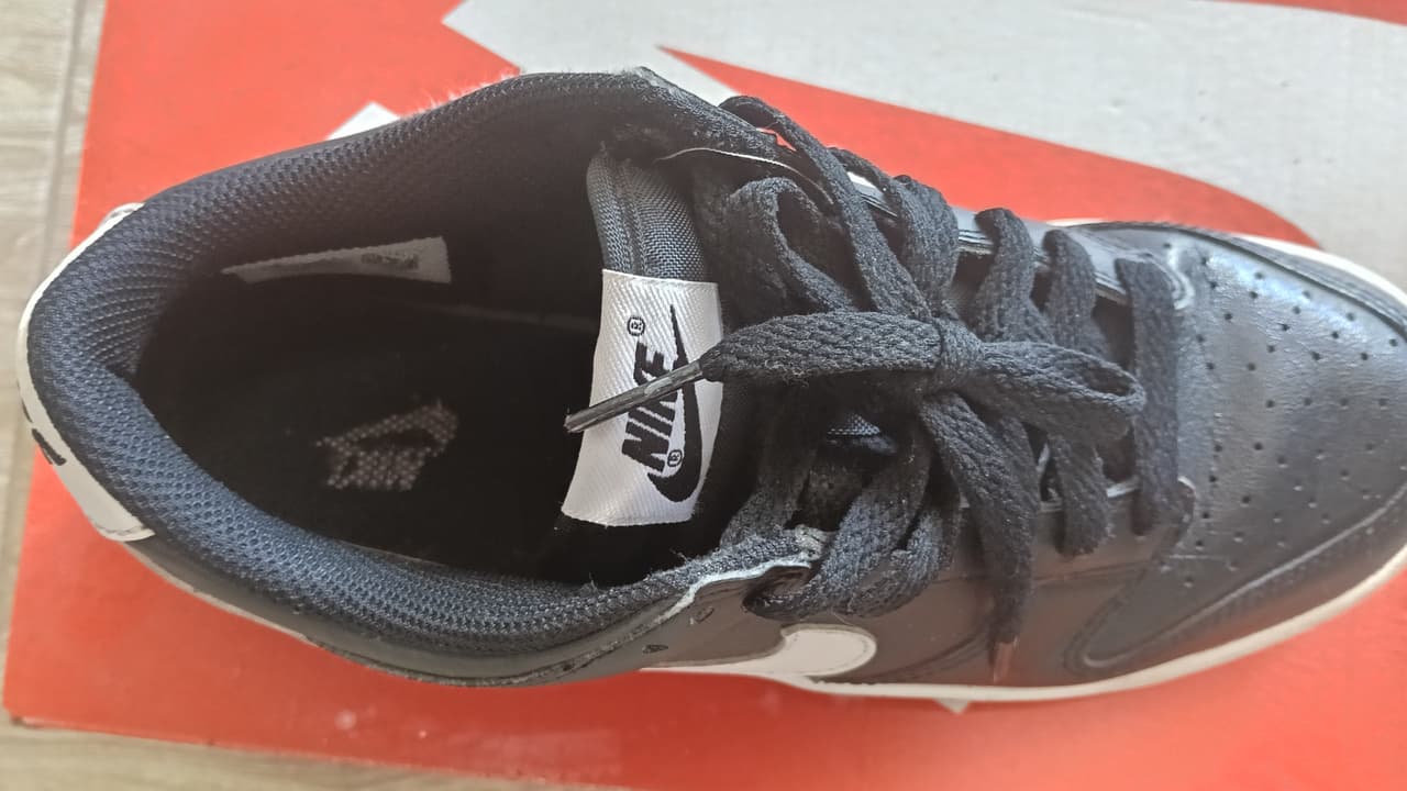 Nike Dunk Low GS Black Panda 2.0 Sneaker