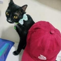 Mananya avatar