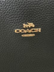 กระเป๋า Coach - image blurred placeholder