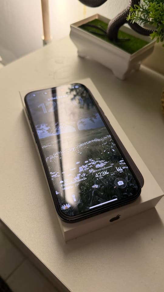 iPhone 16 256GB