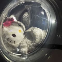 SWEET MELODY avatar