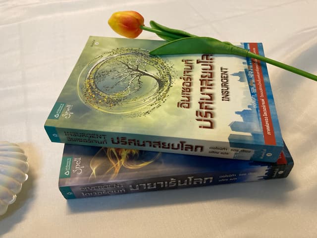 Divergent มายาเร้นโลก & Insurgent ปริศนาสยบโลก