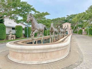 รูปภาพ 3