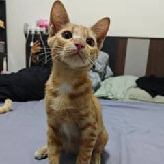 Top_rack_deal avatar