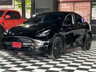 Tesla Model Y Long Range Dual Motor 2023 года - image blurred placeholder