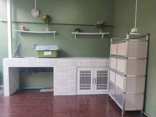 รูปภาพ 12