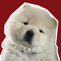Teerisra avatar