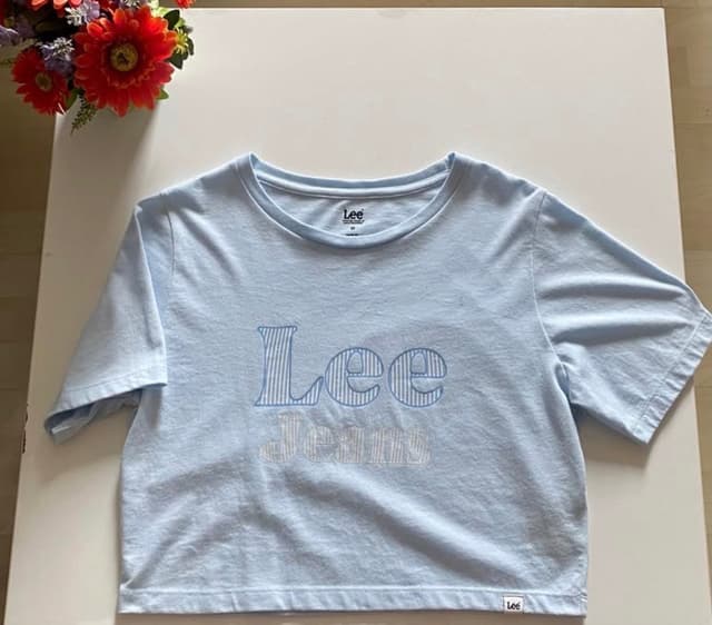 Lee Blue Cropped T-Shirt, Pre-Owned