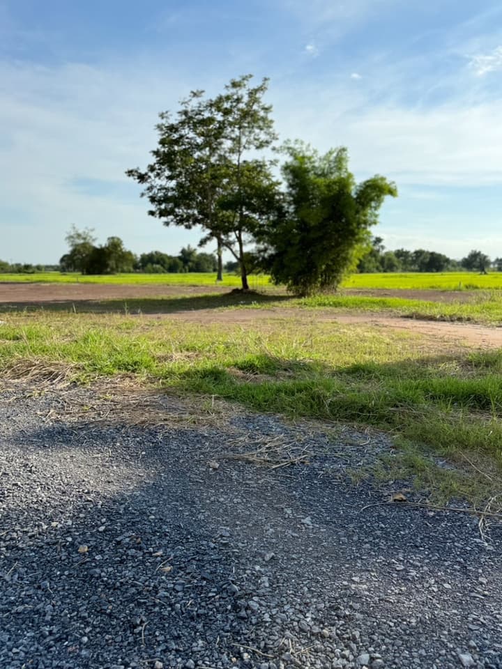Mountain View Land, 600 sq. m, Nakhon Nayok Province, Great Price