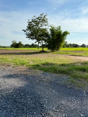 Mountain View Land, 600 sq. m, Nakhon Nayok Province, Great Price - image blurred placeholder