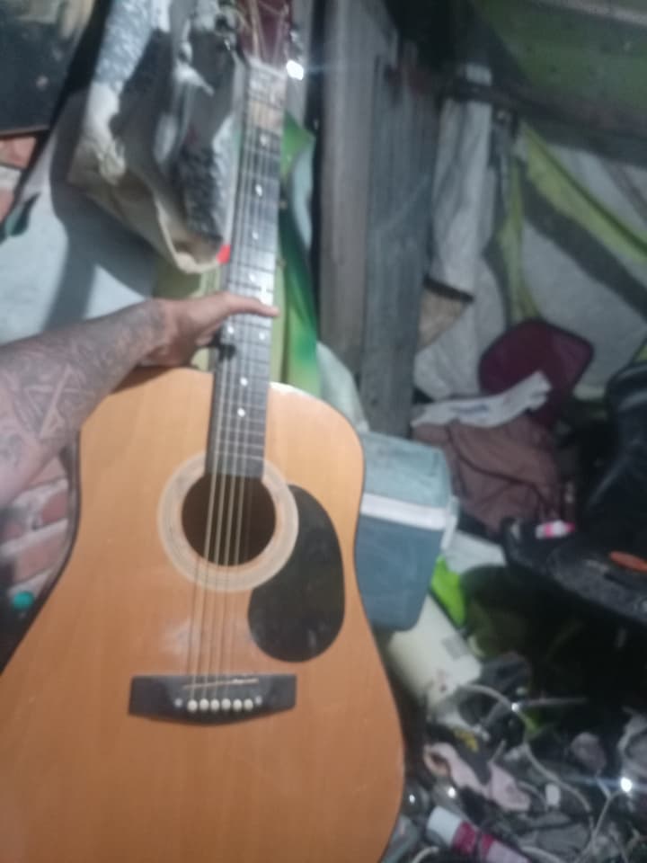 Large Plum Blossoms Guitar