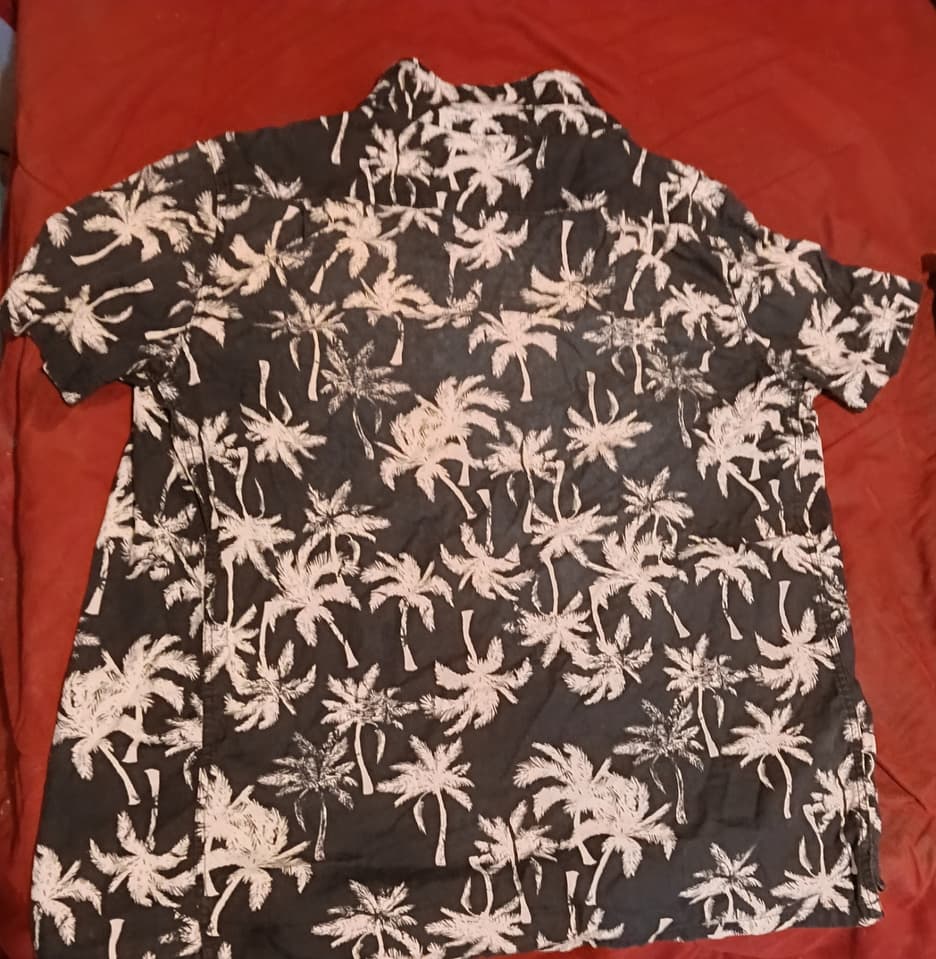 Levi's Fitted Shirt with Coconut Tree Print