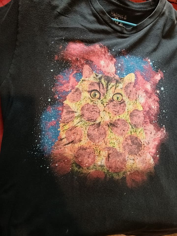 Space Cat Pepperoni Pizza Graphic T-Shirt