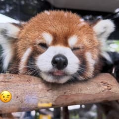 s4vpks7j27 avatar
