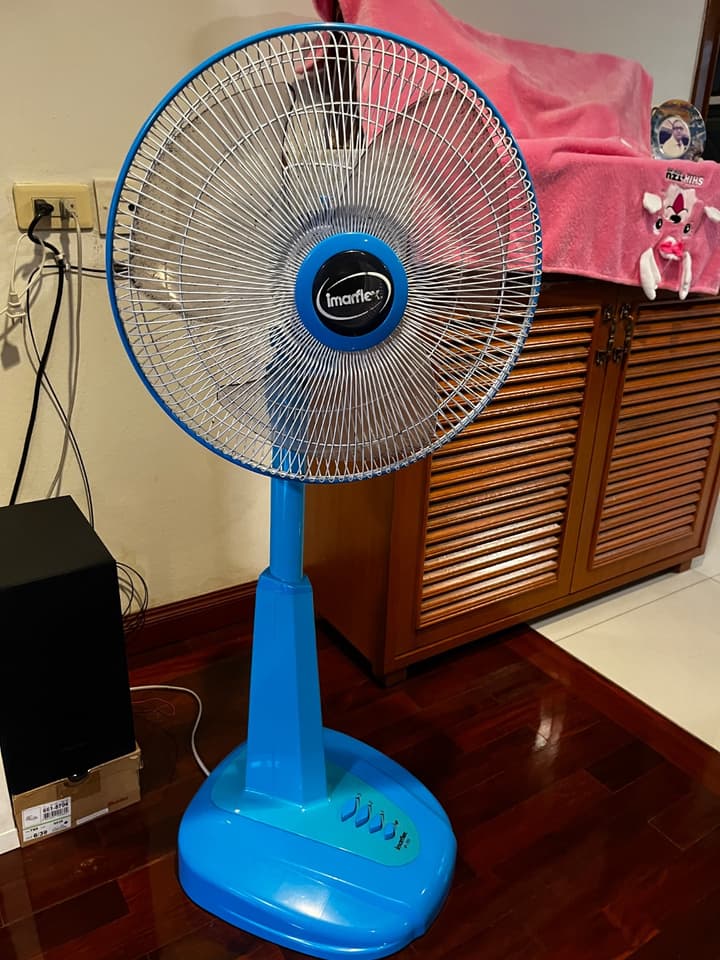 Imerflex Pedestal Fan purchased last year